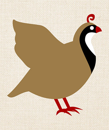 Twelve Days of Christmas App